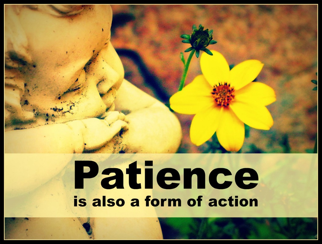 #quote #patience #rodin
